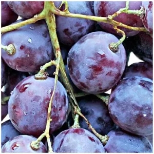 Декор Нефрит-Керамика Толедо фрукты виноград 20х20 см